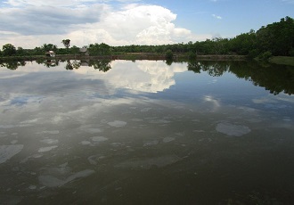 Trinidad Bohol Fish Pond