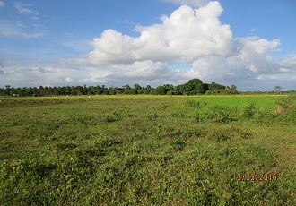 Cebu Farm Land